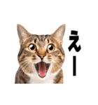 動くっ！かわいい猫写真のアニメスタンプ（個別スタンプ：7）