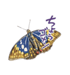 絵本『じゅえきくん』昆虫スタンプ！（個別スタンプ：9）