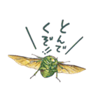 絵本『じゅえきくん』昆虫スタンプ！（個別スタンプ：11）