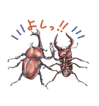 絵本『じゅえきくん』昆虫スタンプ！（個別スタンプ：13）