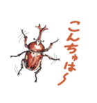 絵本『じゅえきくん』昆虫スタンプ！（個別スタンプ：16）