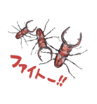 絵本『じゅえきくん』昆虫スタンプ！（個別スタンプ：26）