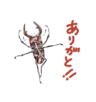 絵本『じゅえきくん』昆虫スタンプ！（個別スタンプ：27）