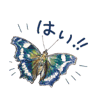 絵本『じゅえきくん』昆虫スタンプ！（個別スタンプ：30）