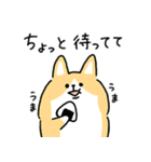脱力犬まみれ_家族の帰宅・送迎(更新)（個別スタンプ：40）