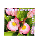 夏の山野草で、日々のご挨拶を（個別スタンプ：32）