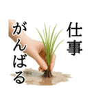 最強で最高な群馬県（個別スタンプ：4）