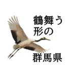 最強で最高な群馬県（個別スタンプ：18）