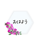 毎日使える＊ひとこと挨拶ことば（個別スタンプ：1）