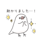 敬語＊文鳥デイズのスタンプ（個別スタンプ：8）