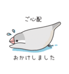 敬語＊文鳥デイズのスタンプ（個別スタンプ：15）
