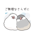 敬語＊文鳥デイズのスタンプ（個別スタンプ：31）
