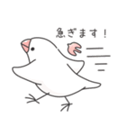 敬語＊文鳥デイズのスタンプ（個別スタンプ：38）