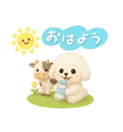 毎日使える★トイプードル（個別スタンプ：1）