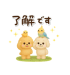 毎日使える★トイプードル（個別スタンプ：10）