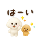 毎日使える★トイプードル（個別スタンプ：12）