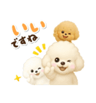 毎日使える★トイプードル（個別スタンプ：14）