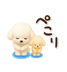 毎日使える★トイプードル（個別スタンプ：16）