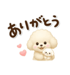 毎日使える★トイプードル（個別スタンプ：17）