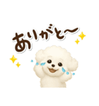 毎日使える★トイプードル（個別スタンプ：18）