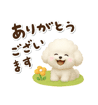 毎日使える★トイプードル（個別スタンプ：19）