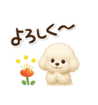 毎日使える★トイプードル（個別スタンプ：21）