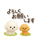 毎日使える★トイプードル（個別スタンプ：22）