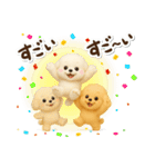毎日使える★トイプードル（個別スタンプ：24）