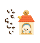 毎日使える★トイプードル（個別スタンプ：27）
