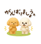 毎日使える★トイプードル（個別スタンプ：30）