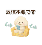 毎日使える★トイプードル（個別スタンプ：32）