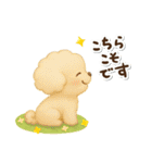 毎日使える★トイプードル（個別スタンプ：33）