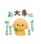 毎日使える★トイプードル（個別スタンプ：35）