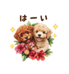 夏を楽しむトイプードル兄弟（個別スタンプ：12）