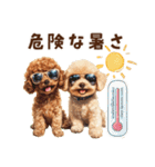 夏を楽しむトイプードル兄弟（個別スタンプ：20）