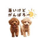夏を楽しむトイプードル兄弟（個別スタンプ：21）