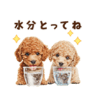 夏を楽しむトイプードル兄弟（個別スタンプ：22）