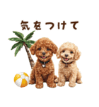 夏を楽しむトイプードル兄弟（個別スタンプ：24）