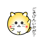 nobobi ツンデレ丸にゃんこ（個別スタンプ：1）