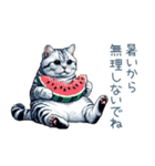 毎日使える夏のねこちゃん【連絡】（個別スタンプ：1）