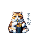 毎日使える夏のねこちゃん【連絡】（個別スタンプ：6）