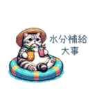 毎日使える夏のねこちゃん【連絡】（個別スタンプ：7）