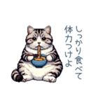 毎日使える夏のねこちゃん【連絡】（個別スタンプ：8）