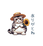 毎日使える夏のねこちゃん【連絡】（個別スタンプ：9）