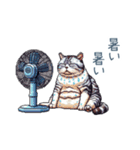 毎日使える夏のねこちゃん【連絡】（個別スタンプ：10）