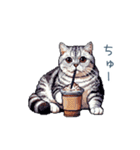 毎日使える夏のねこちゃん【連絡】（個別スタンプ：11）