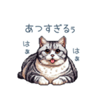 毎日使える夏のねこちゃん【連絡】（個別スタンプ：12）