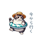 毎日使える夏のねこちゃん【連絡】（個別スタンプ：13）