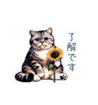 毎日使える夏のねこちゃん【連絡】（個別スタンプ：14）