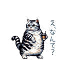 毎日使える夏のねこちゃん【連絡】（個別スタンプ：17）